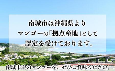 ＜訳あり・ご家庭用＞完熟アップルマンゴー約800g（白箱）2玉～3玉