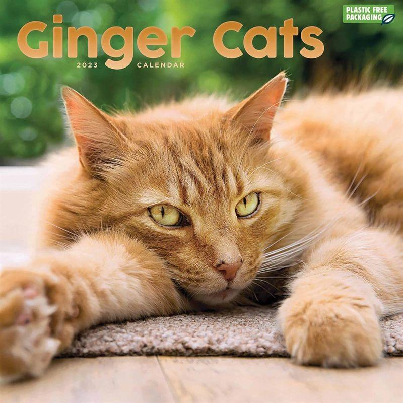 Ginger Cats Square Wall Calendar