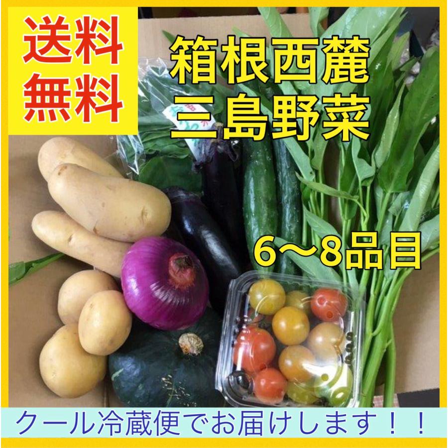 送料無料　約6〜8品目　箱根西麓三島野菜 詰め合わせセット　（北海道・沖縄は別途送料）