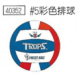 成功 彩色 5號 排球 /個 40352【APP滿額下單4%點數(單一帳號最高1000點)】7/31止
