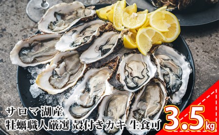 北海道 オホーツク サロマ湖産 殻付きカキ 生食可 3.5kg 牡蠣職人厳選