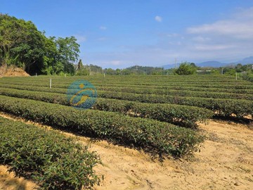 台三線旁峨眉湖景景觀農地｜新竹縣峨眉鄉三峰段