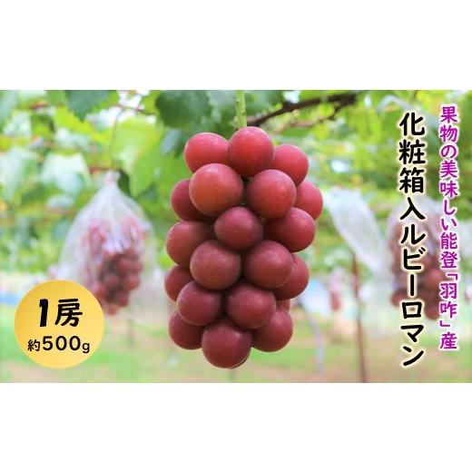 ふるさと納税 石川県 羽咋市 [E013] 化粧箱入りルビーロマン 1房（500g）