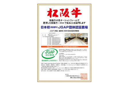 松阪牛 焼肉 （カルビ） 800g 肉 牛 牛肉 和牛 ブランド牛 高級 国産 霜降り 冷凍 ふるさと 人気 焼肉用 BBQ バーベキュー カルビ SS19