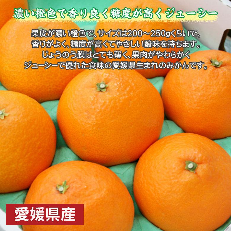 安心の自社検品 送料無料 愛媛県産 あいか 愛果 紅まどんな みかん 愛媛みかん 愛まどんな サイズお任せ 約 5kg 国産みかん ご家庭用 愛媛県