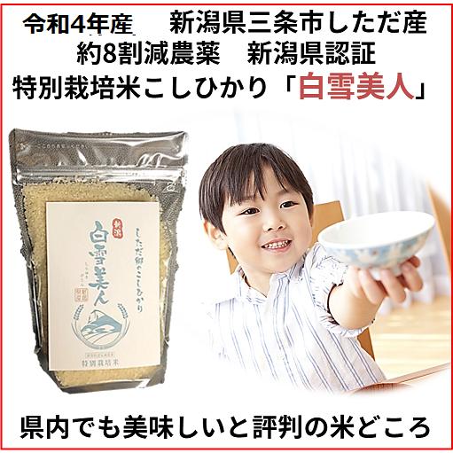 減農薬　新潟コシヒカリ白米900g　[送料無料！]　令和５年産新米　新潟県三条市旧しただ村産　新潟県認証　特別栽培米100%　白雪美人　グルテンフリー