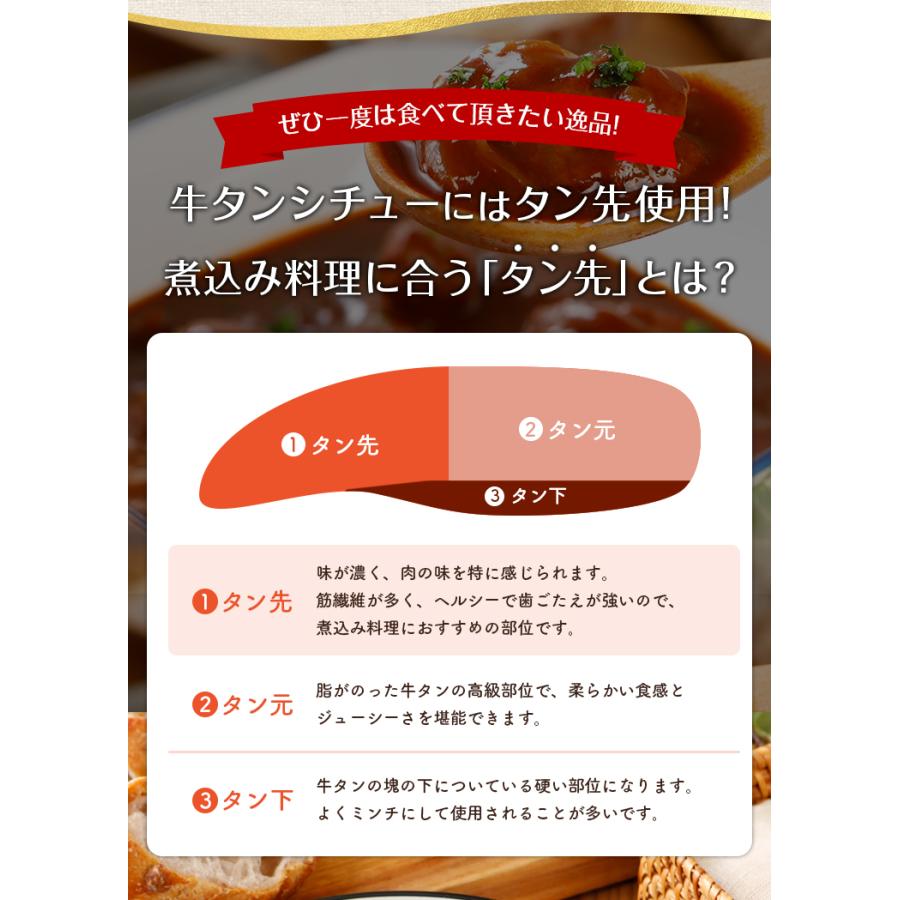 牛タンシチュー 選べるシチュー 3袋 送料無料 辛口 牛タン ビーフシチュー セール ポイント消化  国産 牛肉 レトルト 惣菜 食品 旨さに 訳あり [メール便]