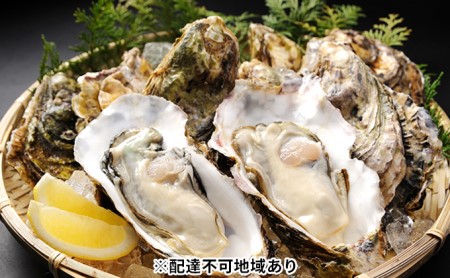 秀栄水産 瀬戸内の 牡蠣 （殻つき 大粒15粒） 海の幸 海のミルク 海鮮 貝 岡山県 瀬戸内市 虫明湾