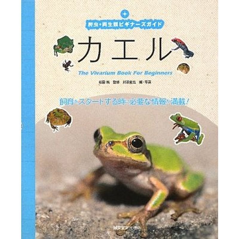 カエル?飼育をスタートする時に必要な情報が満載 (爬虫・両生類ビギナーズガイド)