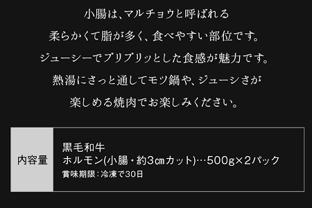 065-10 鹿児島県産黒毛和牛ホルモン(小腸)1kg