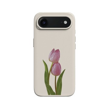 iPhone Air SolidX 貝殼灰 - Joe Horner - Embrace 擁抱