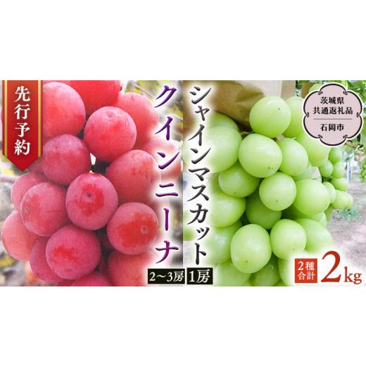 ふるさと納税 茨城県 桜川市  クインニーナ ＆ シャインマスカット 詰め合わせ 約2kg  (茨城県共通返礼品 石岡市） 開田ぶどう園 産地直送 フル…