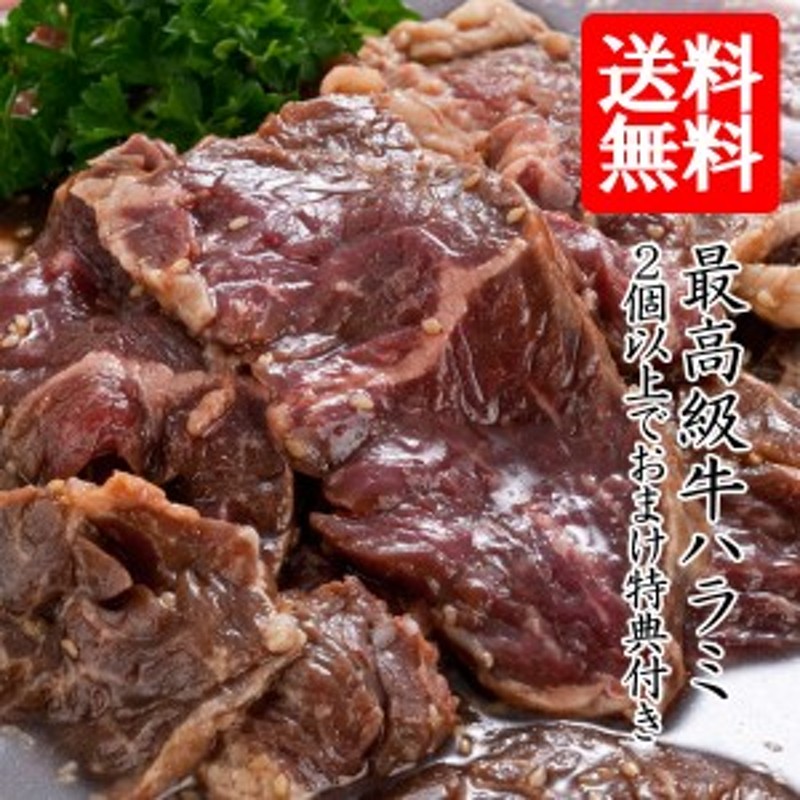 牛肉 焼肉 焼き肉 送料無料 牛 ハラミ サガリ 700g 肉 牛ハラミ 牛サガリ 焼肉用の肉 焼肉用肉 牛 焼肉 セット おまけ特典 肉 通販  LINEポイント最大1.0%GET | LINEショッピング