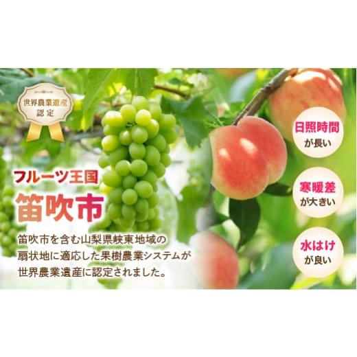 ふるさと納税 山梨県 笛吹市 ＜2024年先行予約＞産地厳選シャインマスカット2.2kg〜2.5kg（3房〜5房） 106-004