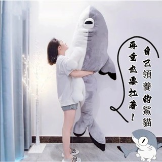 免運 YOGIN幺了個箐鯊 鯊貓抱枕 毛絨玩具 鯊貓玩偶 鯊魚玩偶 送女友 禮物 交換禮 安撫娃娃 長條抱枕 沙發枕