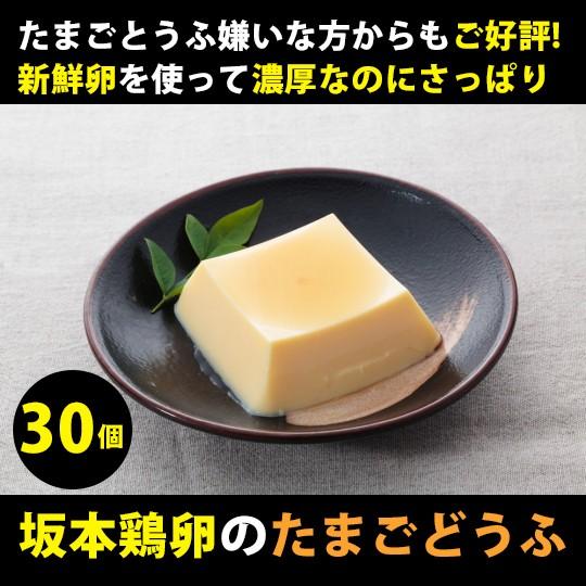 阪本鶏卵 星の里たまごのたまごとうふ 3個入×10パック