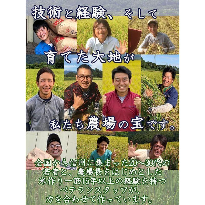 5分づき残留農薬不検出 信州産 こしひかり 20kg（5kg×4） 令和4年産 《受注精米》 米 お米 コメ 精米 長野県 信州ファーム荻原