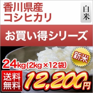 白米 24kg (2kg×12袋) 新米 令和5年(2023年)産 香川県産 コシヒカリ 送料無料 