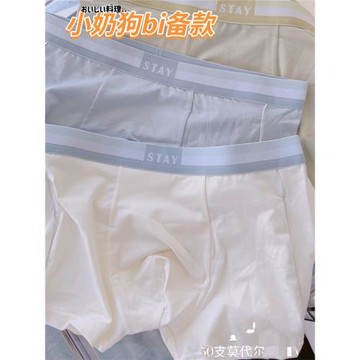 日本3件純棉50支莫代爾舒適運動簡約純色青年男士內褲平角褲四角