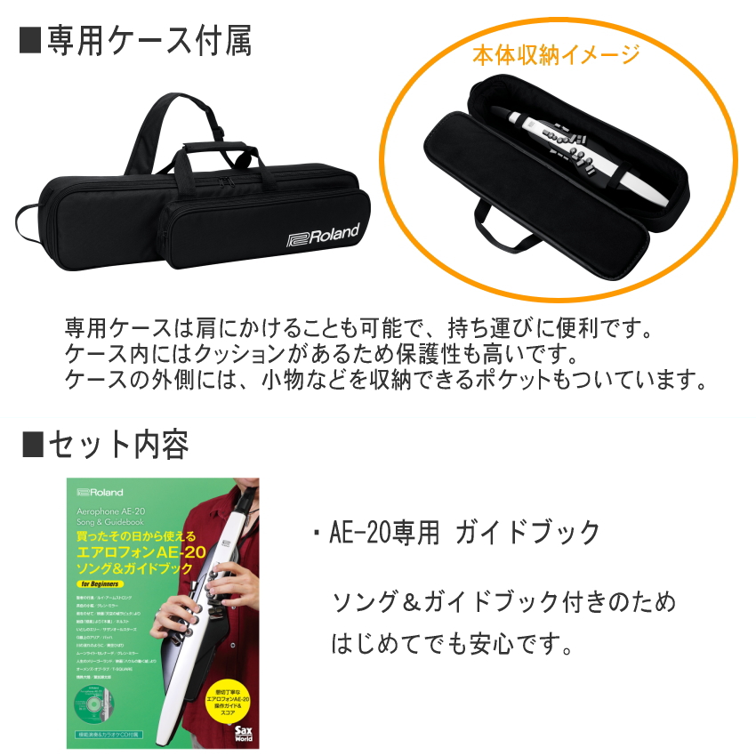 Roland ローランド Aerophone エアロフォン AE-20 スタンド ヘッドフォン ガイドブック付き