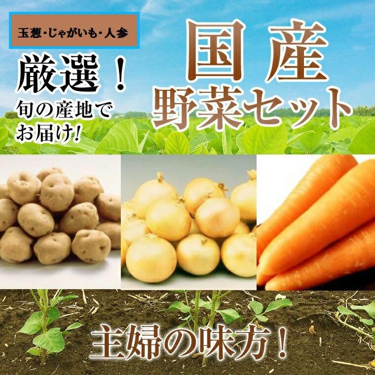 国産野菜約２Ｋ詰セット  カレ−・シチュ−セット