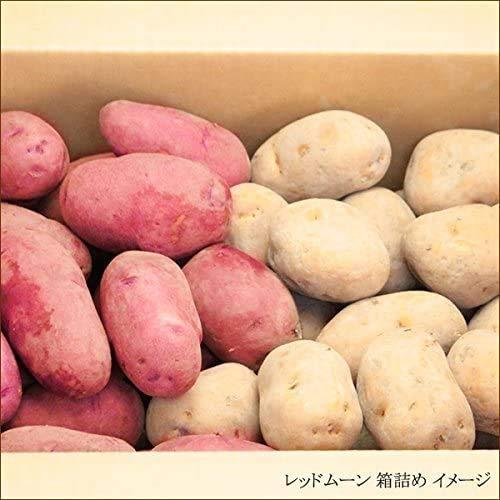 北海道産 レッドムーン＆インカのめざめ セット 4kg(ご家庭用) 新じゃが 越冬 ジャガイモ 馬鈴薯 野菜 北海道 お取り寄せ