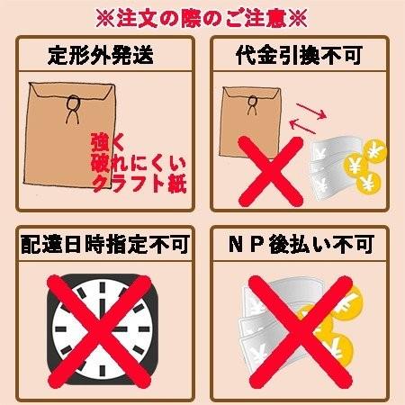 塩らっきょう　上沖産業　90g×1袋　宮崎県都城産  送料無料