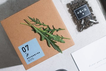 07裂葉芝麻葉種子_入坑禮物盒