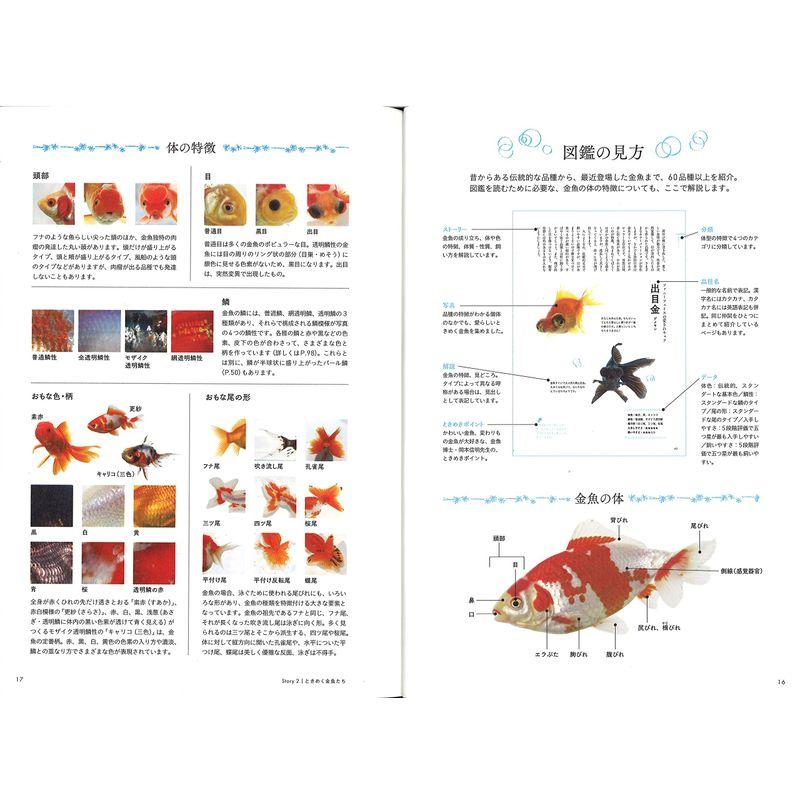 ときめく金魚図鑑