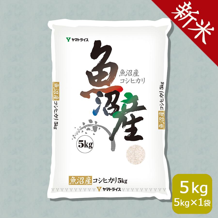 米 お米 魚沼 コシヒカリ 5kg 新潟県産 令和5年産 白米 贈答