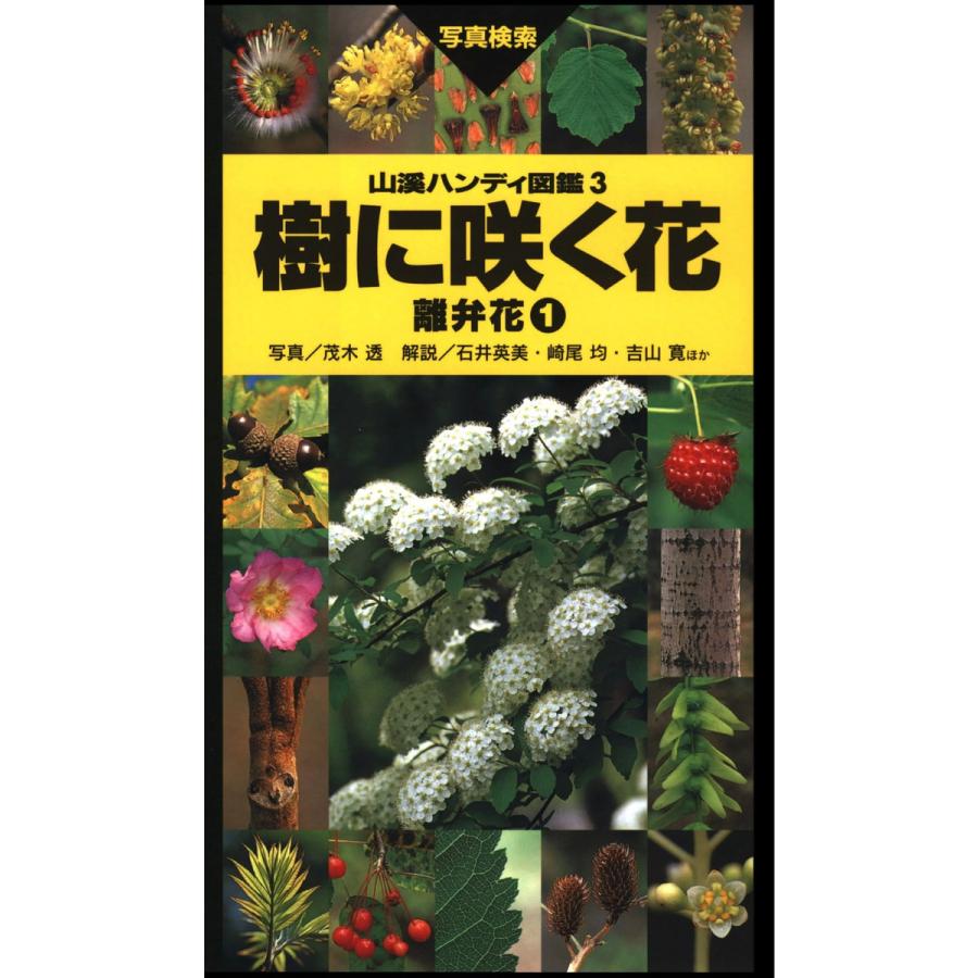 山溪ハンディ図鑑3 樹に咲く花 離弁花1 電子書籍版   写真:茂木透 監修:高橋秀男 監修:勝山輝男