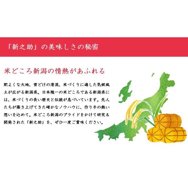 令和5年産 2023年度産 米 新潟県産 新之助 2K 白米 (精米済) 代引不可 同梱不可