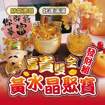 【富貴雙全&招財套組】黃水晶聚寶盆組合 💰 招財樹+聚寶盆+金元寶 辦公室財位佈置 開店送禮首選 居家開運擺飾 好運滿滿
