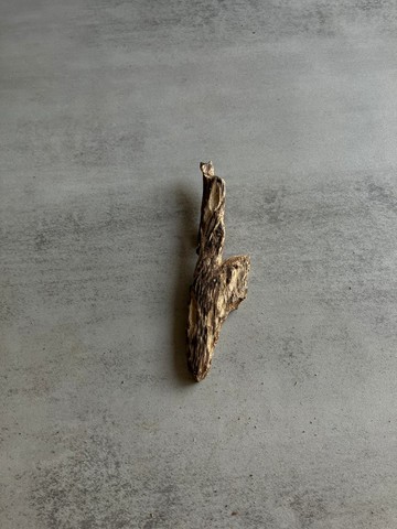 野生芽莊沉香老料S39(6.3克)