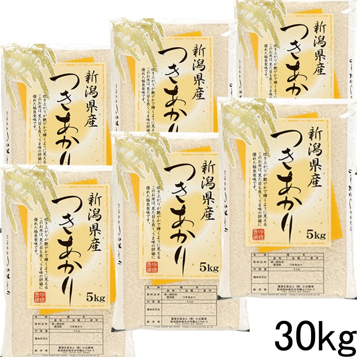 新潟県 新米 つきあかり 米 ３０kg 令和５年産 米30kg 白米 30kg おいしいお米 美味しいお米 産地直送 農家の米 コシヒカリの郷小出農場