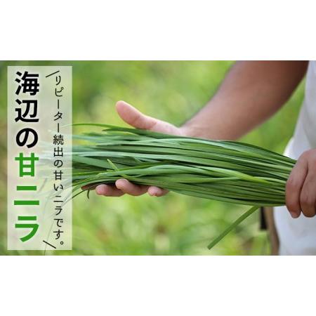 ふるさと納税 おとなりさんち厳選！浜松から鮮度抜群！旬の野菜BOX 静岡県浜松市