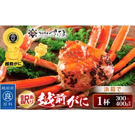 ふるさと納税 浜茹で 越前がに 約300〜400g × 1杯（茹で前重量） 食べ方しおり付き【雄 ズワイガニ ずわいがに かに カニ 蟹 姿 .. 福井県越前町