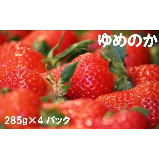 ふるさと納税 高知県 佐川町 いちご ゆめのか 285g×4パック 秀品 苺贈答用