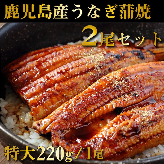 鹿児島産鰻蒲焼 有頭 2尾セット 1尾あたり220g前後 国産うなぎ