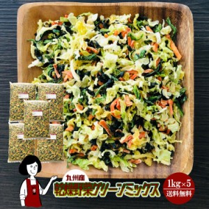 乾燥野菜グリーンミックス 1kg×5〔チャック付〕／九州産 乾燥野菜 ほうれん草 キャベツ 人参 宅配便 送料無料 チャック付 九州産 ミック