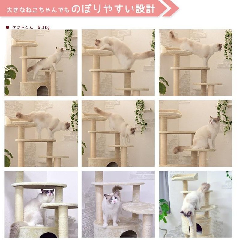 キャットタワー Mauタワー リッチエッグ 大型キャットタワー 大型猫 据