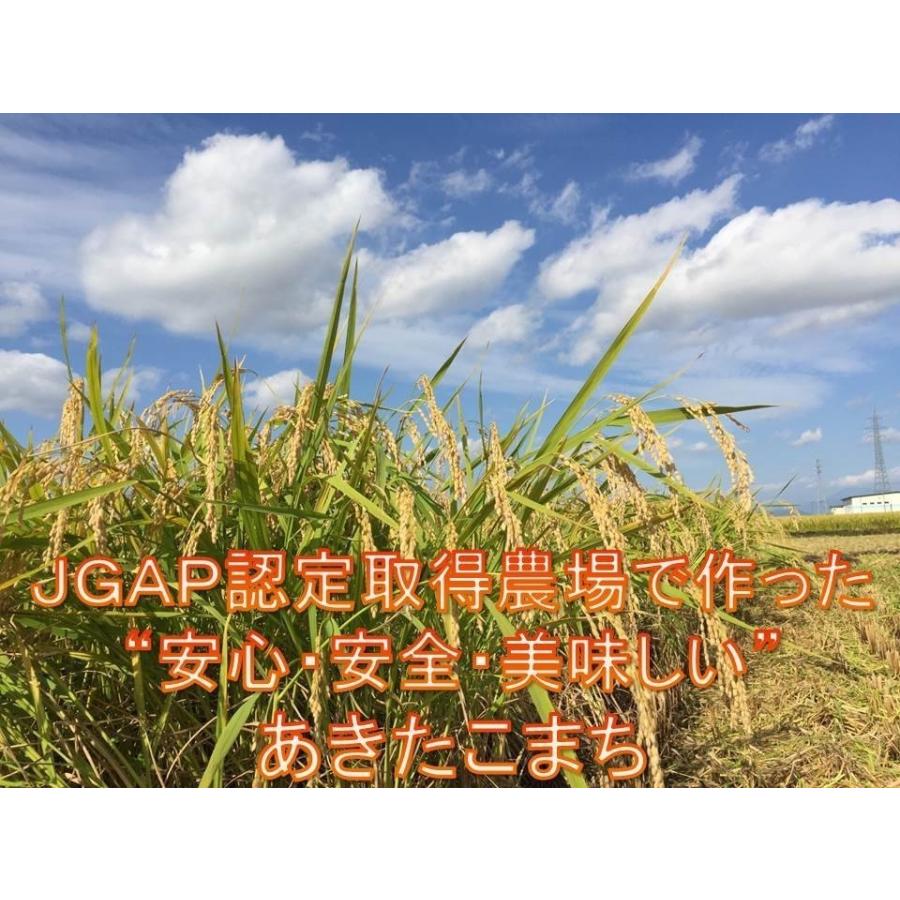 米 10kg 白米 大仙 大曲 秋田県産 新米   あきたこまち 令和5年度産 10kg