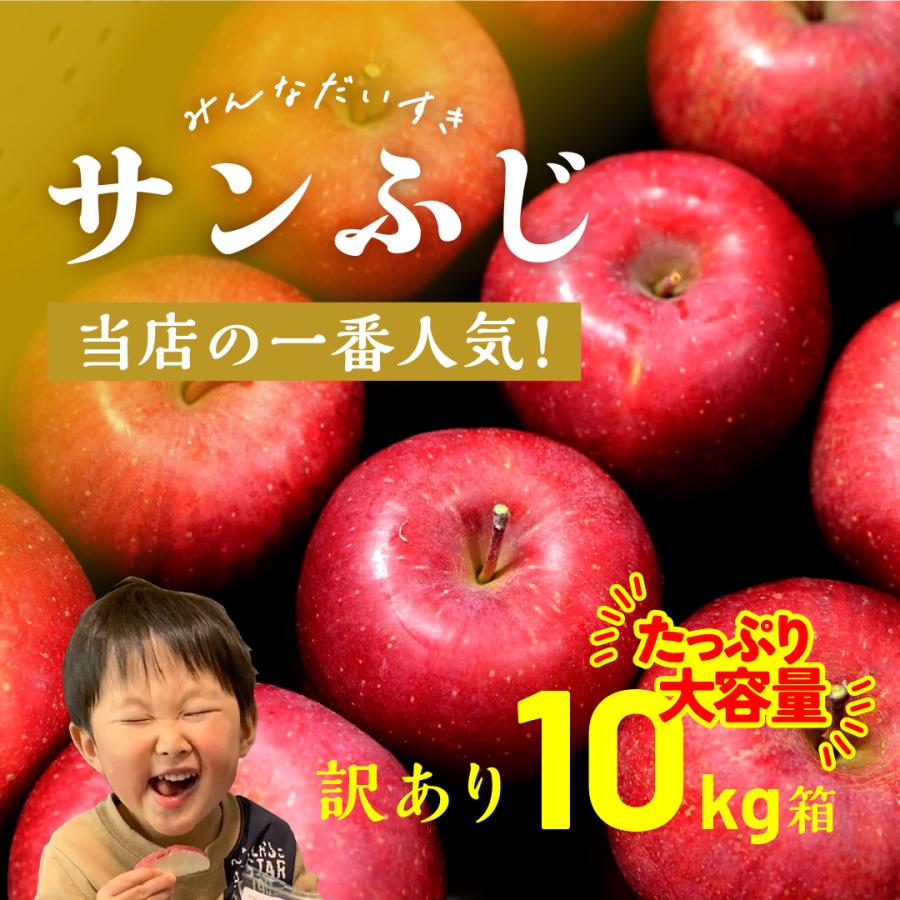 「サンふじ10キロ箱訳あり品」 減農薬 甘い  りんご 長野県 安曇野 信州 産地直送 果物 フルーツ  希少 ギフト 贈答 家庭 10kg お得