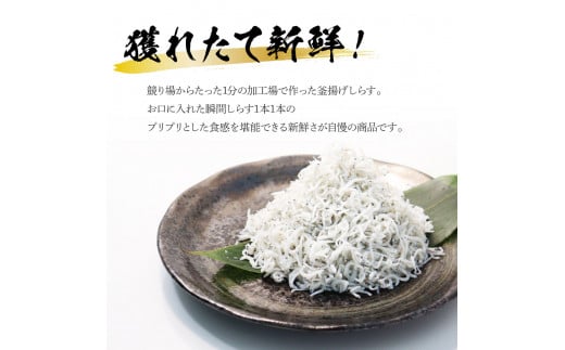 《3ヶ月定期便》高知県産釜揚げしらす500g 定期便 定期コース 3回 簡易梱包 シラス 小分け 国産 釜揚げ しらす丼 海鮮丼 お茶漬け ごはん 軍艦巻き 冷凍配送 おかず おつまみ お楽しみ