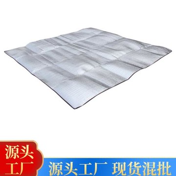 徽羚羊戶外鋁膜防潮墊戶外野餐墊鋁箔墊子沙灘地墊露營帳篷睡墊