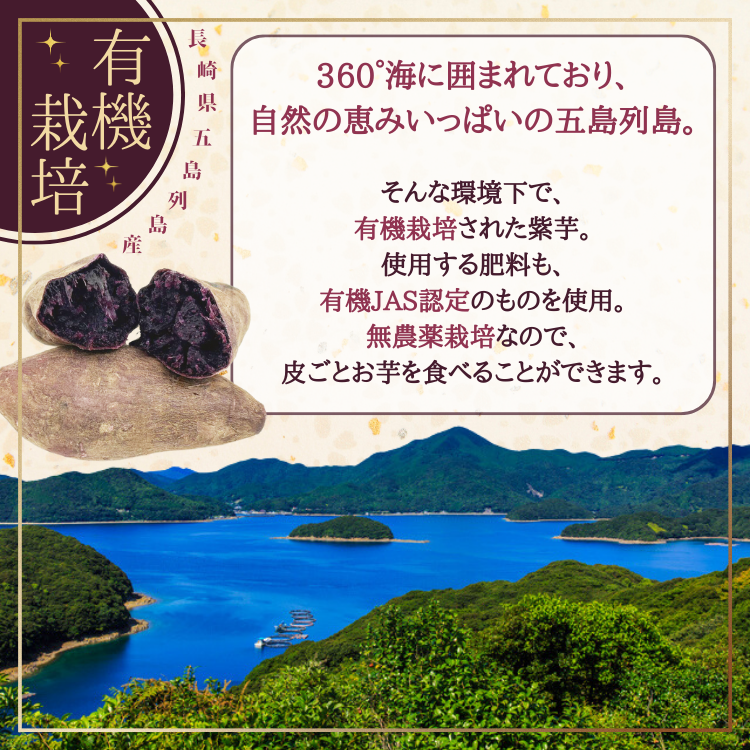 国産 紫芋 冷やし焼き芋 1kg 冷やし 焼き芋 冷凍 やきいも さつまいも 無添加 冷凍焼き芋 冷凍焼きいも 焼きいも 芋 スイーツ お菓子 さつま芋 お取り寄せ プレゼント y-vl