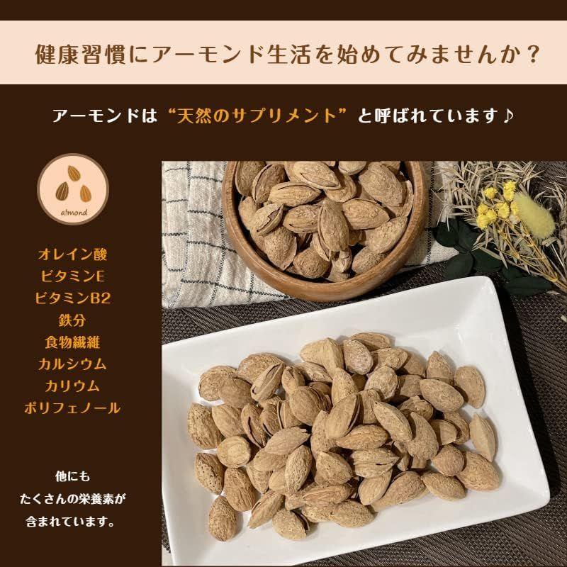 殻付きアーモンド 500g 塩味 ロースト