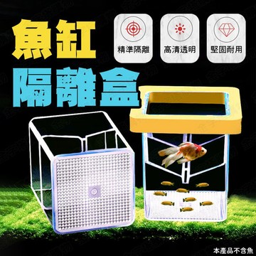 【🇹🇼一盒兩用！現貨免運 快速出貨】隔離盒 繁殖隔離盒 小魚隔離盒 水族隔離盒 孵化盒 幼魚隔離盒 孵育盒 水族繁殖盒