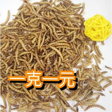 F邦邦水族~【現貨】 麵包蟲乾刺蝟/倉鼠/黃金鼠/松鼠/寵物鼠/蜜袋鼯/爬蟲類/蜥蜴/鳥類/觀賞魚/兩棲爬蟲食用點心零食