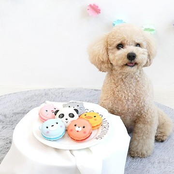 韓國【ParisDog】可愛小動物乳膠發聲玩具 (寵物玩具)